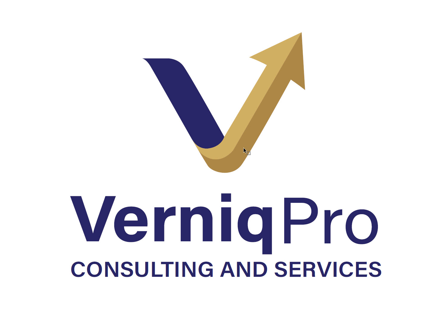 VerniqPro